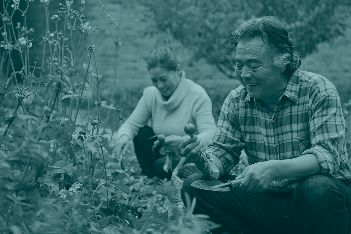 senior couple active in the garden